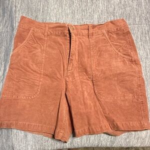 Marine Layer Rust Shorts